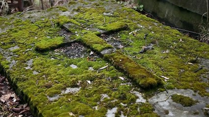 post mortem myths