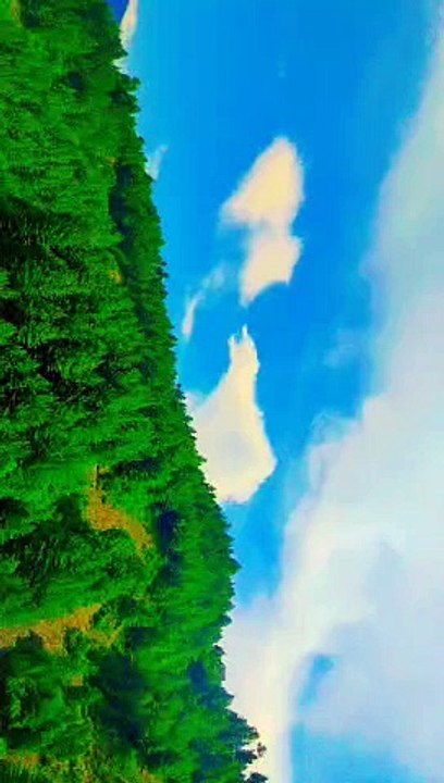 Video_1719134629236