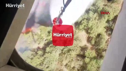 İzmir Bornova'da orman yangını