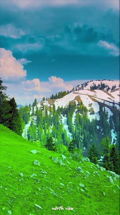 The Most  Beautiful North View hills 