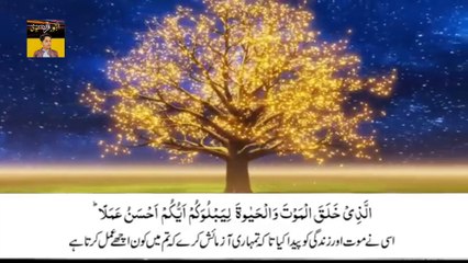 Surah al mulk with urdu translation