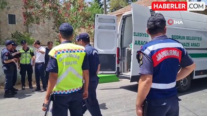 Feci kazada iki genç can verdi