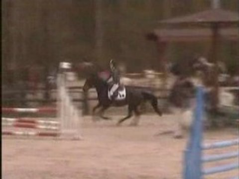 Amandine & Noisette 13/04/08 CSO Cl2 Les Etisses