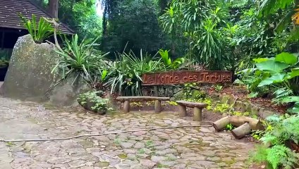 The Giant Aldabra Tortoises ｜ Longest Living Reptiles 190+ years ｜ Dhruv Rathee Vlogs