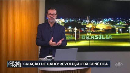 Projeto promete aumentar produtividade das bovinoculturas