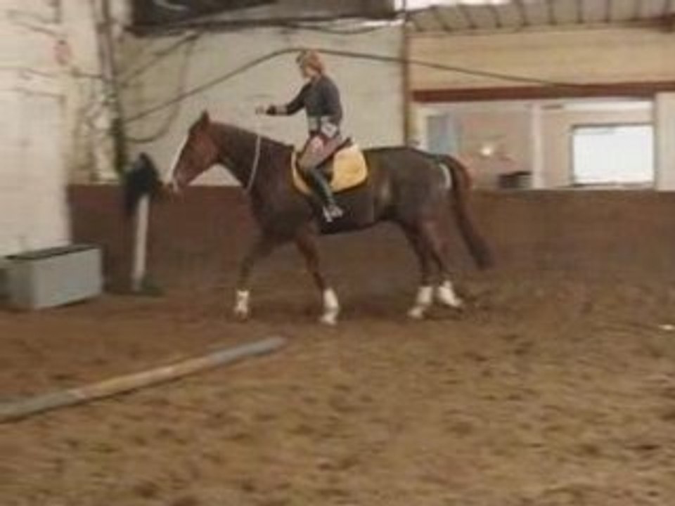 Cordelette pas et trot