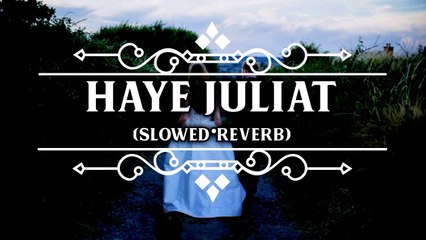 Haye Juliat  Punjabi New Song Slowed Reverb Mix