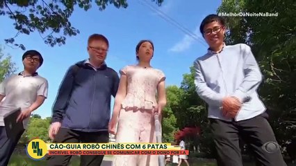 China cria “cão-guia” robô com seis patas e que consegue falar com o dono