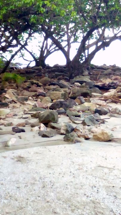 Sé préparer a la boxe kathaija