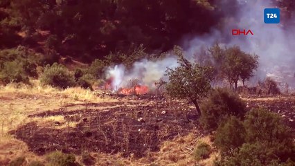 Bornova'da orman yangını: İzmir-Manisa kara yolu trafiğe kapatıldı