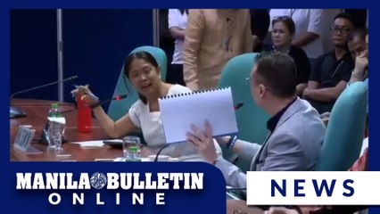 Binay, Alan Cayetano clash at Senate panel hearing on New Senate Building