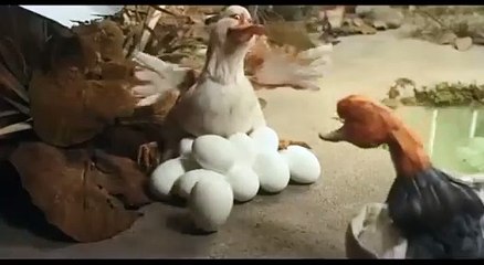 'The Ugly Ducking' - Tráiler Oficial