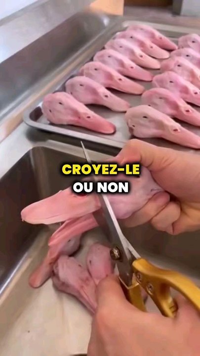 Des phénomènes étranges dont tu n'as jamais entendu parler (65) ‍♂️