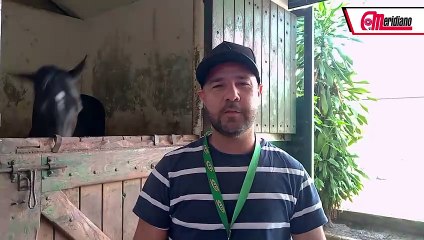 Hipismo: Luis Peraza, Entrenador.