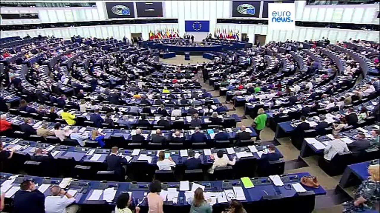 Could a divided or minority government in France pose a risk to EU's stability?