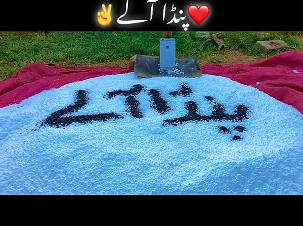 Pindawaly ❤️ #pindawaly