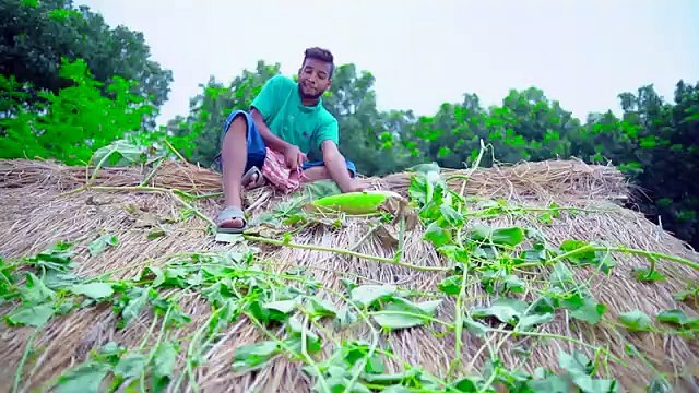 New Funniest Comedy Video 2024 Amazing Totally Funny Video 2024 Episode 316 By Bidik Fun Tv