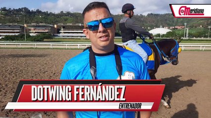 HIPISMO: Dotwing Fernández - Entrenador