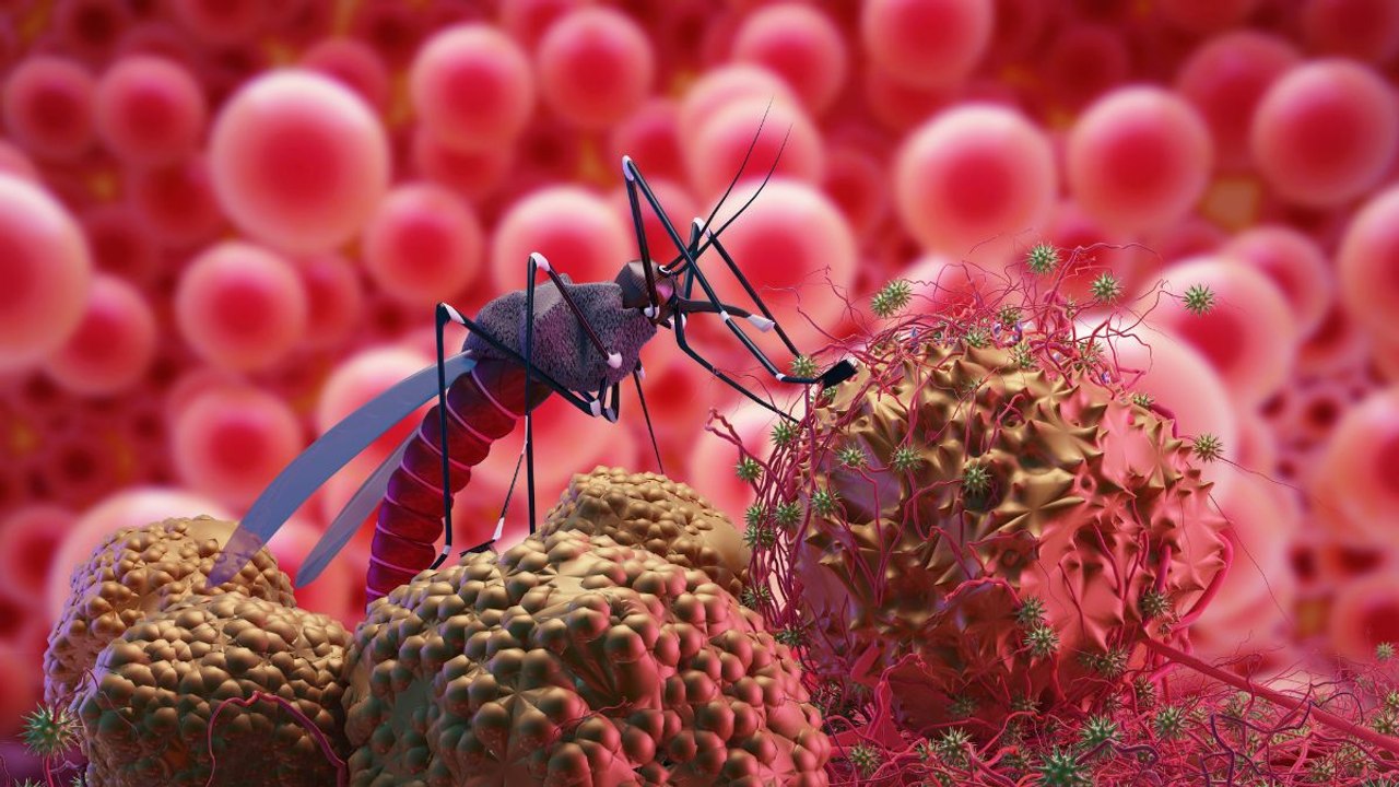 महाराष्ट्र में फैल रहा है जीका वायरस; जानें लक्षण, इलाज और बचाव के तरीके
