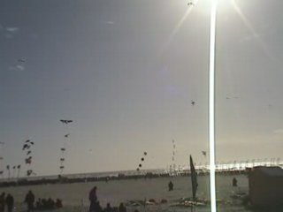 Cerf-volants Berck 2008 Team Start'air