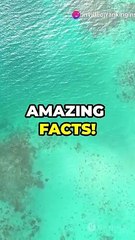 TOP 10 FACTS About Dominican Republic 