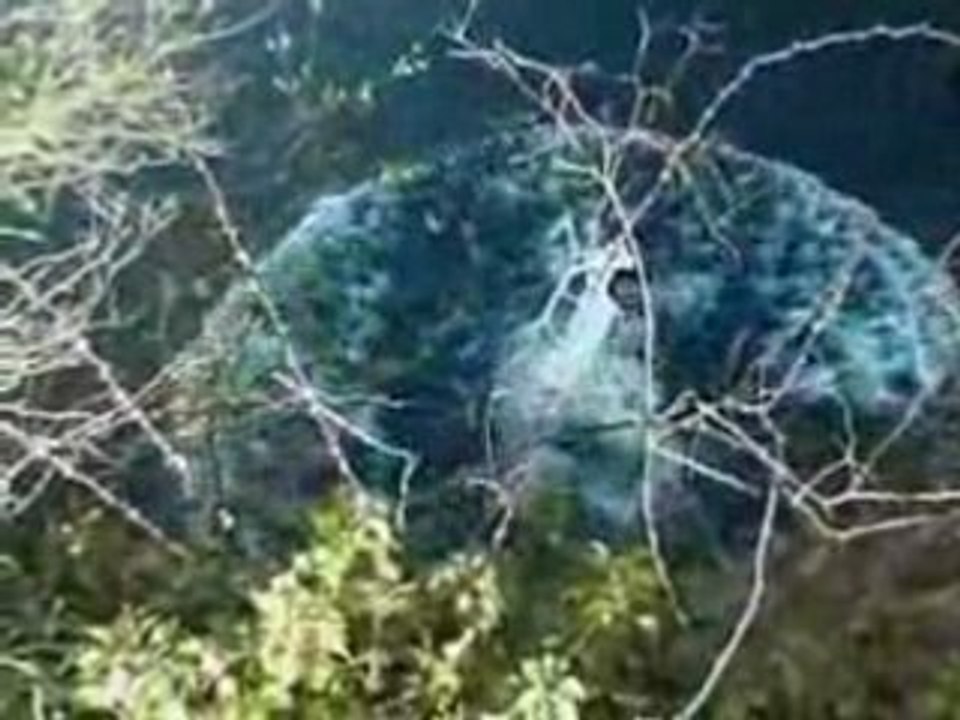 Was he in the car when it dropped!?