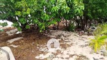 El malecón de Barahona tras Beryl: el mar arrojó basura, sargazo y escombros a la orilla