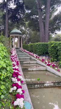 La famille Rothschild a vraiment su créer des demeures d'exception✨ Villa Ephrussi de Rothschild, Côte d’Azur @luxuryexplorer1 Abonne-toi au Petit Mauda ! #petitmauda #adresse #guide #spot #pepite #rothschild #rothschilds #rothschildfamiliy #s