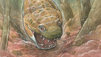 Descubren una enorme salamandra depredadora que existió antes que los dinosaurios