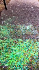 Breaking Glass Bottles and Balloon Drops_Crushing Crunchy _ Soft Things_