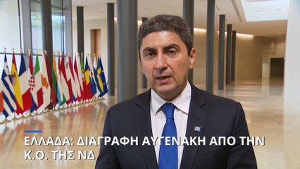 Ελλάδα: Διαγραφή Αυγενάκη από την ΚΟ της ΝΔ μετά την καταγγελία για βιαιοπραγία στο αεροδρόμιο