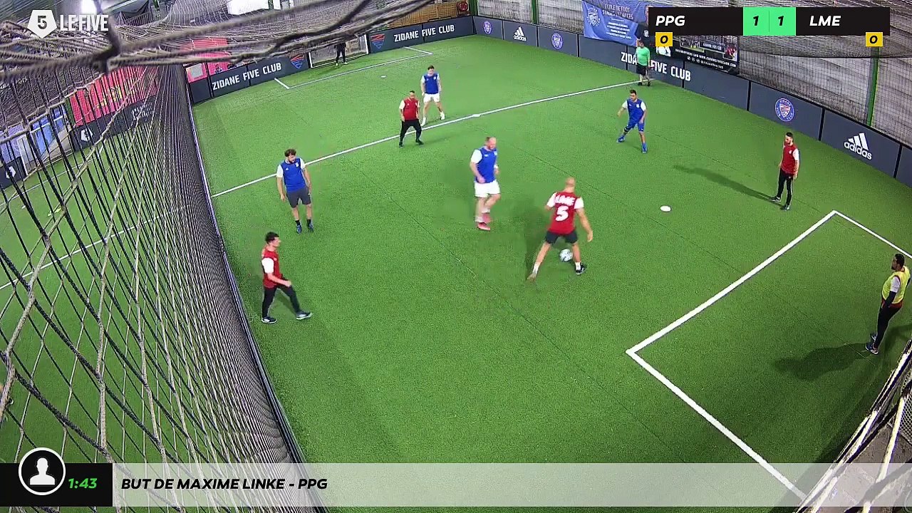But de MAXIME LINKE - PPG