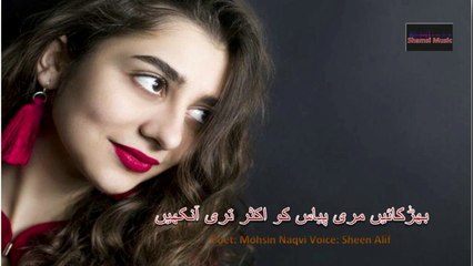 Bharkain Meri Pyas Ko Aksar Teri Ankhen  _ بھڑکائیں مری پیاس کو اکثر تری آنکھیں _ Mohsin Naqvi