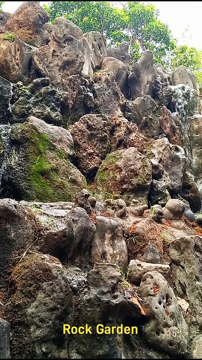 Rock Garden