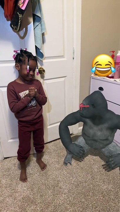 Funny videos