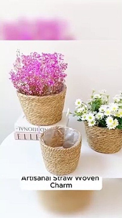 Straw Woven Plant Basket Set
