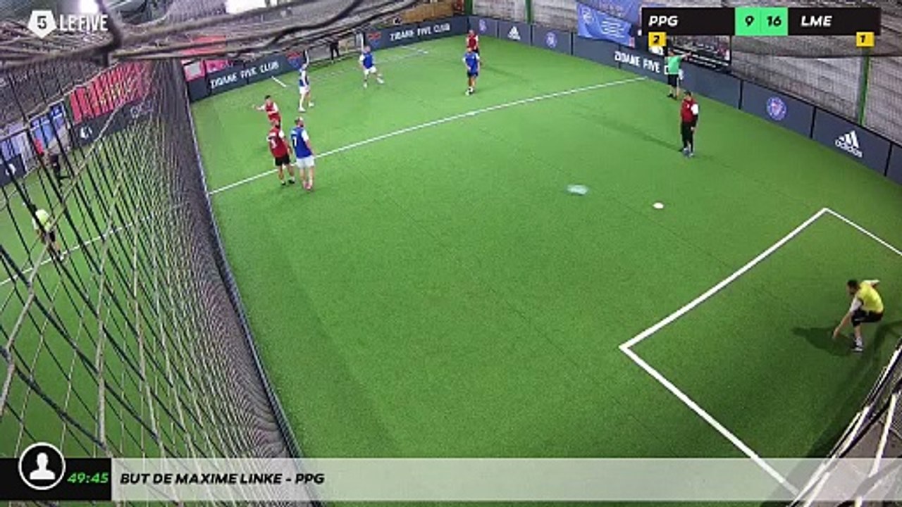 But de MAXIME LINKE - PPG