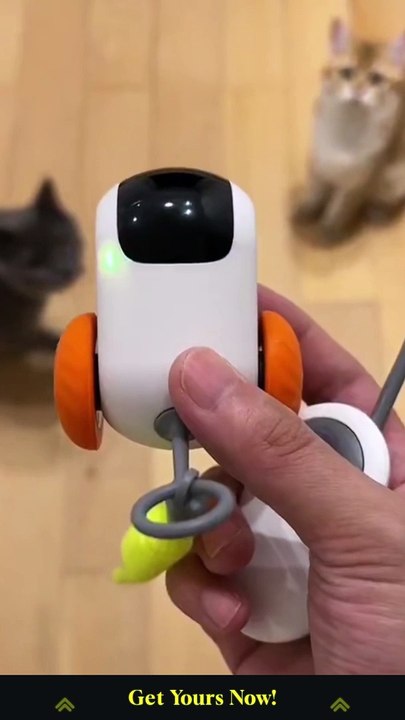 Remote-Controlled Rolling Car Cat Toy