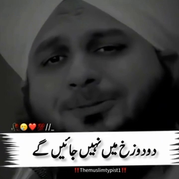 Kon log dozak se bri hongye