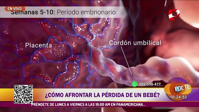 ¿Cómo afrontar la pérdida de un bebé?: Una experiencia devastadora para muchas madres
