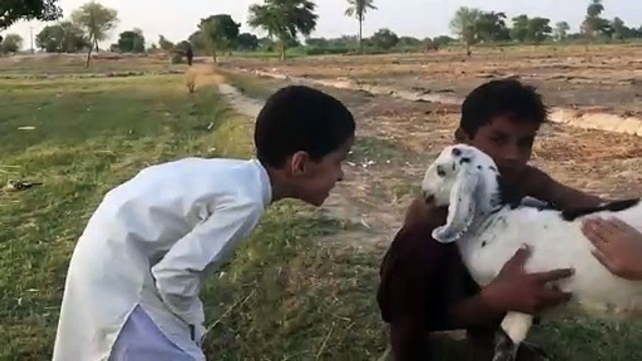 Village Life