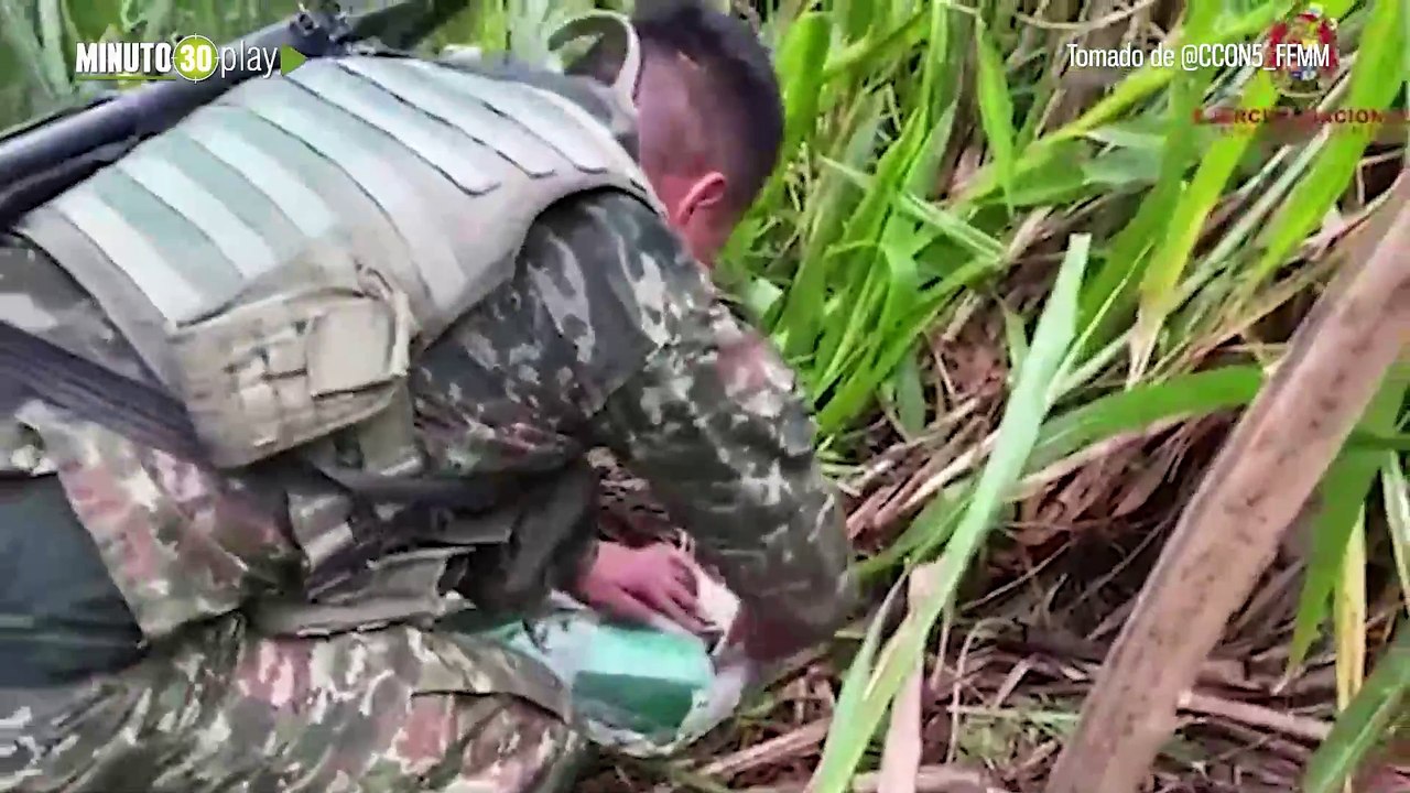 Desmantelan siete laboratorios clandestinos de cocaína del Clan del Golfo en Barbosa