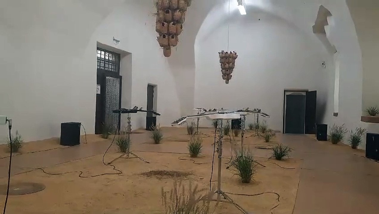 Céleste Boursier-Mougenot, from here to hear.  Vue de l’installation dans le cadre de l'exposition "Habiter le Monde" au Château - Centre d'Art Contemporain et du Patrimoine d'Aubenas. ©Adagp, Paris, 2024.