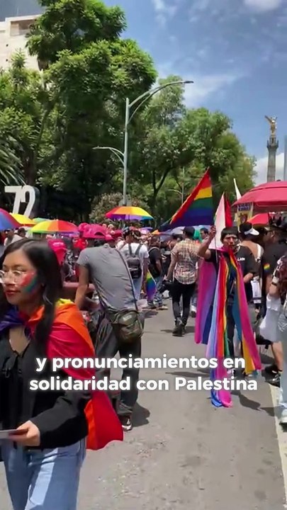 La Marcha del Orgullo también es política