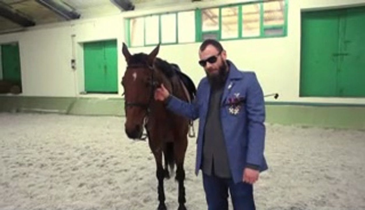 Marszałek i Konie - koncert  OdraZoo zapowiedź