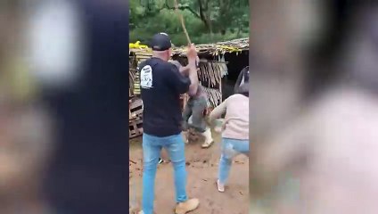 Homem que furtava peças íntimas para seduzir novinhos recebe surpresa dolorosa