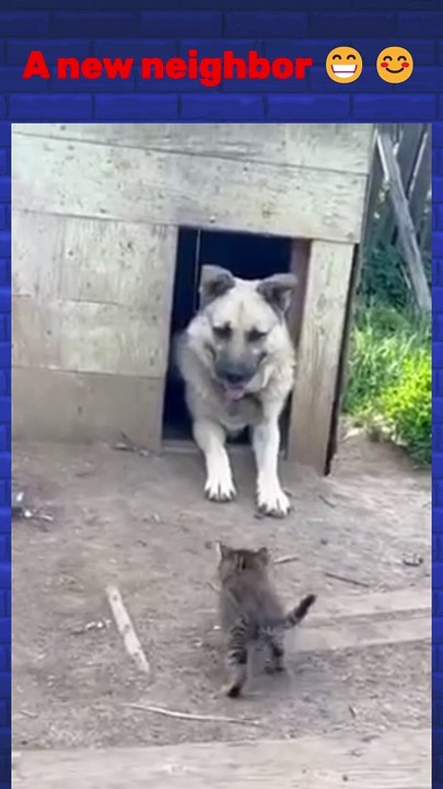 A new neighbor