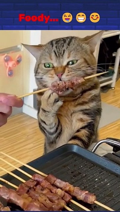 Foody...