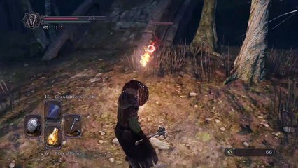 Dark Souls II: Scholar of the First Sin online multiplayer - ps3