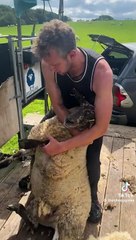 Check end what a trick #trending #viral #trendingnow #fashion #trendingfashion #explore #whatstrending #explorepage #malemodeltrending #love #nowtrending #music #trendingdances #instagood #trendingtopic #hiphop #trendingtopics #style #trendingnews #photog
